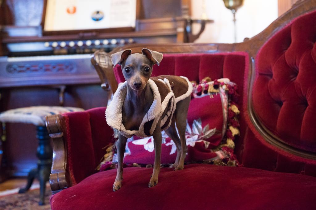 The Gables Bed and breakfast