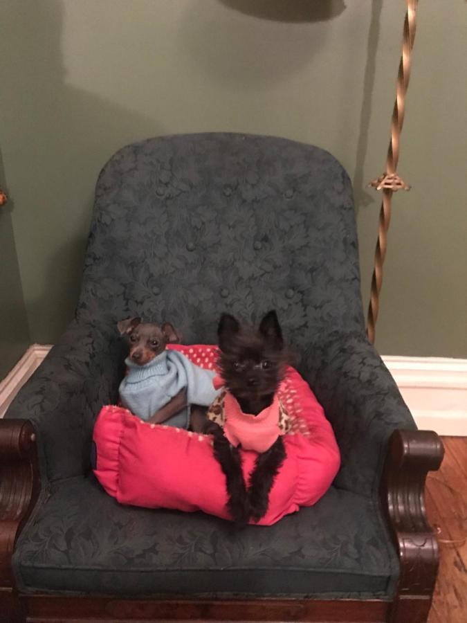The Gables Bed and breakfast